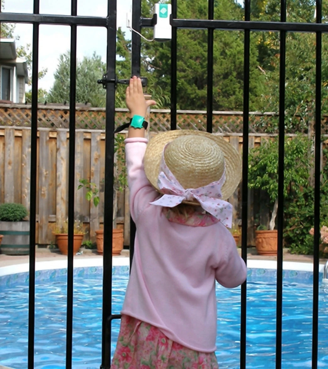 Terrapin Turtle Wristband 5 Terrapin Turtle Wristband - Image 3