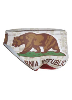 Turbo Men's Cal Flag Star Water Polo Brief -Swimming Equipment Shop 8640398819496 brown 1a