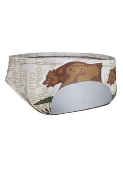 Turbo Men's Cal Flag Star Water Polo Brief -Swimming Equipment Shop 8640398819496 brown 2a