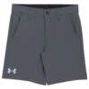 Under Armour Boys' UA Standard Amphibian Shorts (Little Kid, Big Kid) 2 Under Armour Boys' UA Standard Amphibian Shorts (Little Kid, Big Kid) -Swimming Equipment Shop 8642818474152 2t