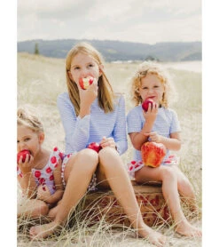 Snapper Rock Girls' Cornflower Stripe Long Sleeve Rashguard (Toddler, Little Kid, Big Kid) 14 Snapper Rock Girls' Cornflower Stripe Long Sleeve Rashguard (Toddler, Little Kid, Big Kid) -Swimming Equipment Shop 8647880638632 blue 4a