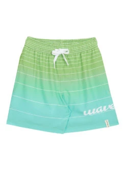 Wavebreaker Boy's Ombre Stripe Swim Trunks -Swimming Equipment Shop 8649182707880 lightgreen 1a