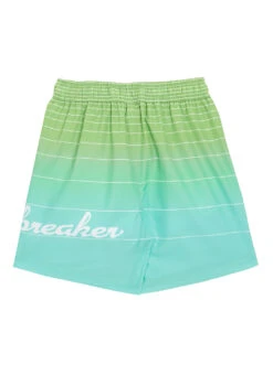 Wavebreaker Boy's Ombre Stripe Swim Trunks -Swimming Equipment Shop 8649182707880 lightgreen 2a