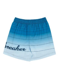 Wavebreaker Boy's Ombre Stripe Swim Trunks -Swimming Equipment Shop 8649182707880 turquoise 2a