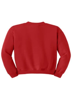 SwimOutlet Youth Heavy Blend Crewneck Sweatshirt 39 SwimOutlet Youth Heavy Blend Crewneck Sweatshirt -Swimming Equipment Shop 8650006593704 red 2a
