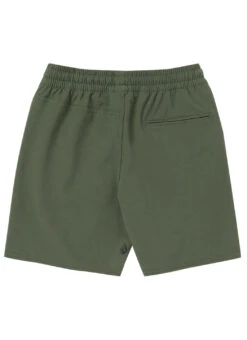 Volcom Boys' Nomoly Hybrid Shorts (Toddler, Little Kid) 18 Volcom Boys' Nomoly Hybrid Shorts (Toddler, Little Kid) -Swimming Equipment Shop 8651061526696 squadrongreen 2a