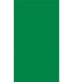 Dohler Solid Beach Towel 40" X 76" 26 Dohler Solid Beach Towel 40" X 76" -Swimming Equipment Shop 8652005474472 green