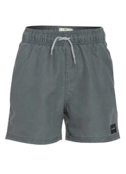 Rip Curl Boys' Bondi Volley Board Shorts (Big Kid) 34 Rip Curl Boys' Bondi Volley Board Shorts (Big Kid) -Swimming Equipment Shop 8680370143400 slate
