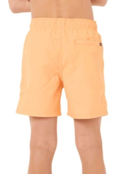Rip Curl Boys' Offset Volley Shorts (Big Kid) 25 Rip Curl Boys' Offset Volley Shorts (Big Kid) -Swimming Equipment Shop 8721732796584 mandarinzest 3a