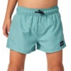 Rip Curl Boys' Offset Volley Shorts (Toddler, Little Kid) 1 Rip Curl Boys' Offset Volley Shorts (Toddler, Little Kid) -Swimming Equipment Shop 8721733091496 2t