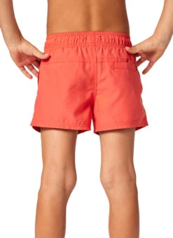 Rip Curl Boys' Offset Volley Shorts (Toddler, Little Kid) -Swimming Equipment Shop 8721733091496 washedred 2a